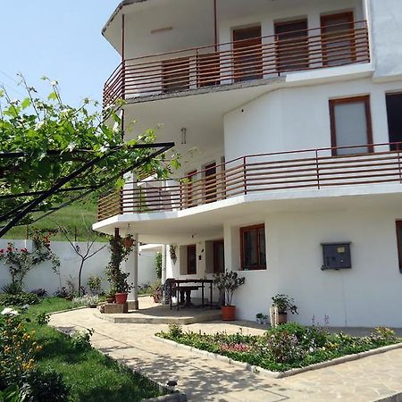 Petrovi Guest House Обзор Екстер'єр фото