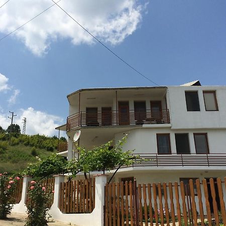 Petrovi Guest House Обзор Екстер'єр фото