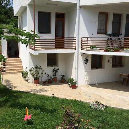 Petrovi Guest House Обзор Екстер'єр фото